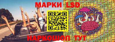 гидропоника Сланцы