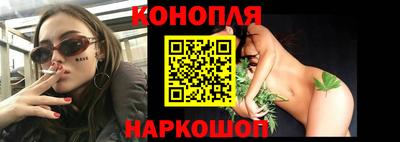 шишки Славгород
