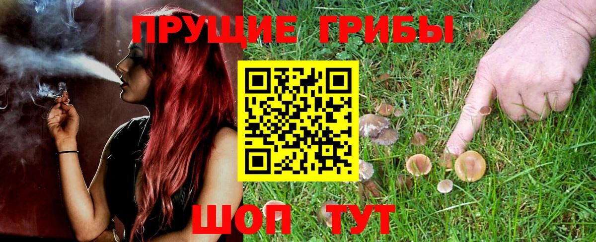 Галлюциногенные грибы GOLDEN TEACHER Нижний Тагил